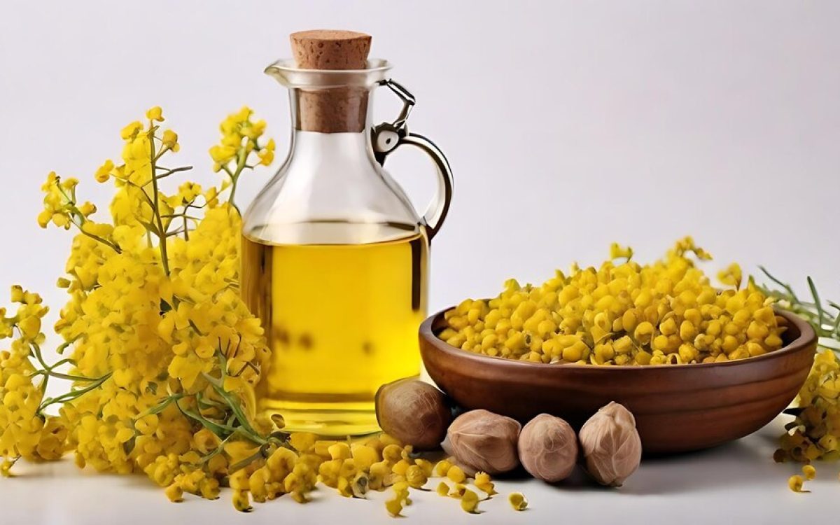 This image represents Mustard Oil Benefits For Babies